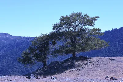 DSC_2253 (Large).JPG